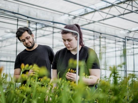 Zwei Jugendliche begutachten Pflanzen im Gewächshaus
