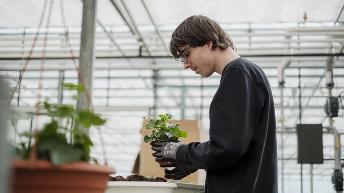 Auszubildender im Bereich Gartenbau bei Pflanzarbeiten