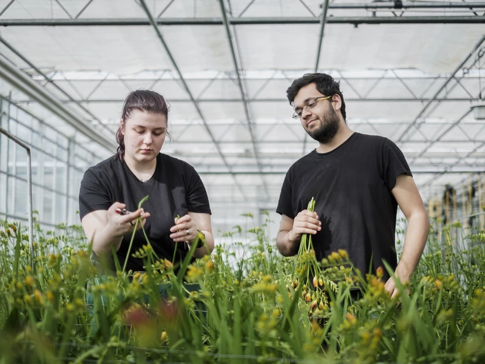 Zwei Auszubildende bei der Gartenarbeit