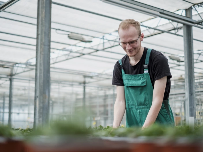 Ein Gartenbau-Auszubildender versorgt Pflanzen